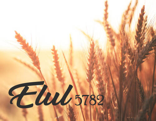 Banner Image for Elul Family Shabbat 